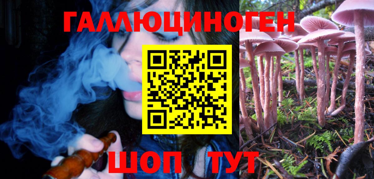Псилоцибиновые грибы Cubensis  Вход с VPN  Галлюциногенные грибы Cubensis  Нижний Новгород 